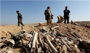 کشف یک گور جمعی داعش در شمال استان بابل عراق
