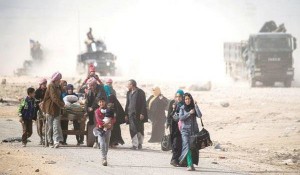  سازمان ملل: نیم میلیون عراقی از موصل آواره شده‌اند