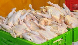  علت افزایش قیمت مرغ