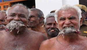  اعتراض مضحک و دردناک کشاورزان هندی به وضعیت اسفبار معیشتی 