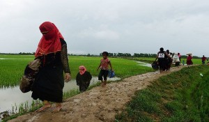  آتش‌بس موقت شبه‌نظامیان روهینجایی در بحبوحه بحران انسانی