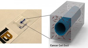 توسعه یک دستگاه برای مطالعه سرطان لوزالمعده
