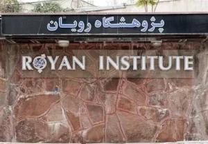 درمان زخم‌های دیابتی مزمن با پیوند بافت نوزادی